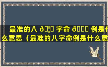 最准的八 🦋 字命 🐅 例是什么意思（最准的八字命例是什么意思啊）